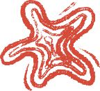 Unfold Your Design Elements