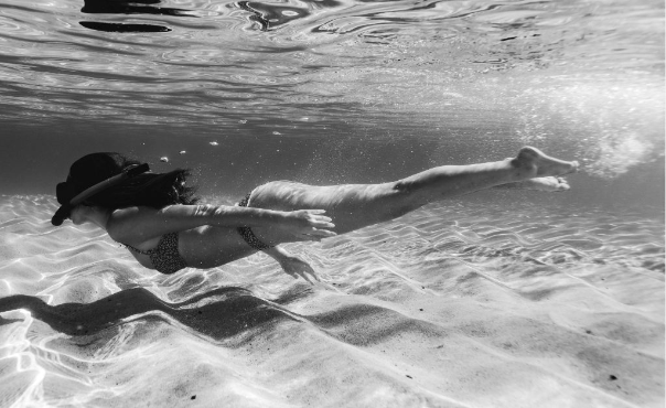 human design authority types