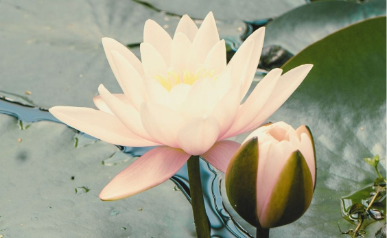 nine centers in human design banner