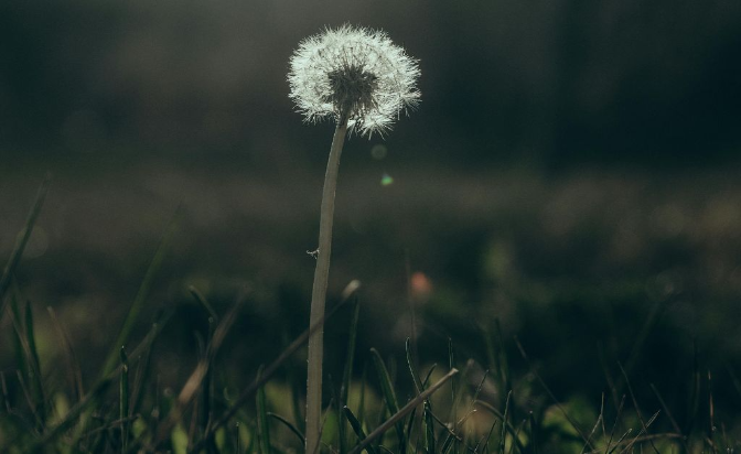 human design intentions