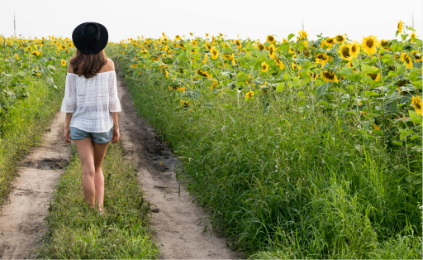 Human Design Incarnation Cross: Understanding Your Life Theme 1 incarnation cross human design